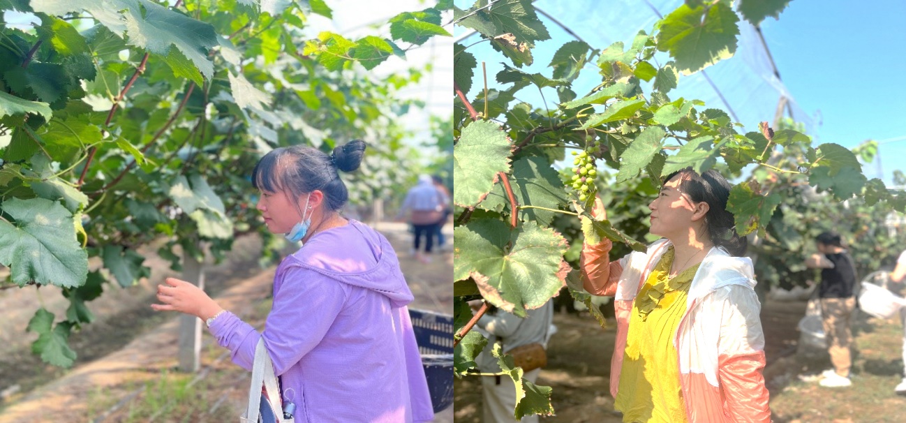 1691990911473354.jpg 1691990911473354.jpg