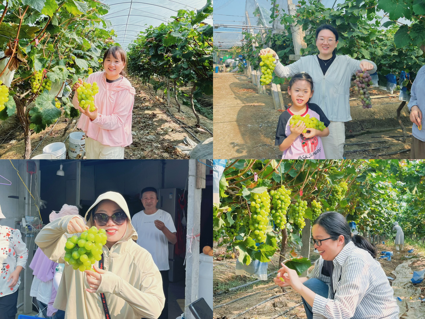 1724390889555215.png 1724390889555215.png